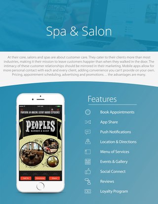 Spas & Salons Industry Example